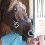 Equine Affection